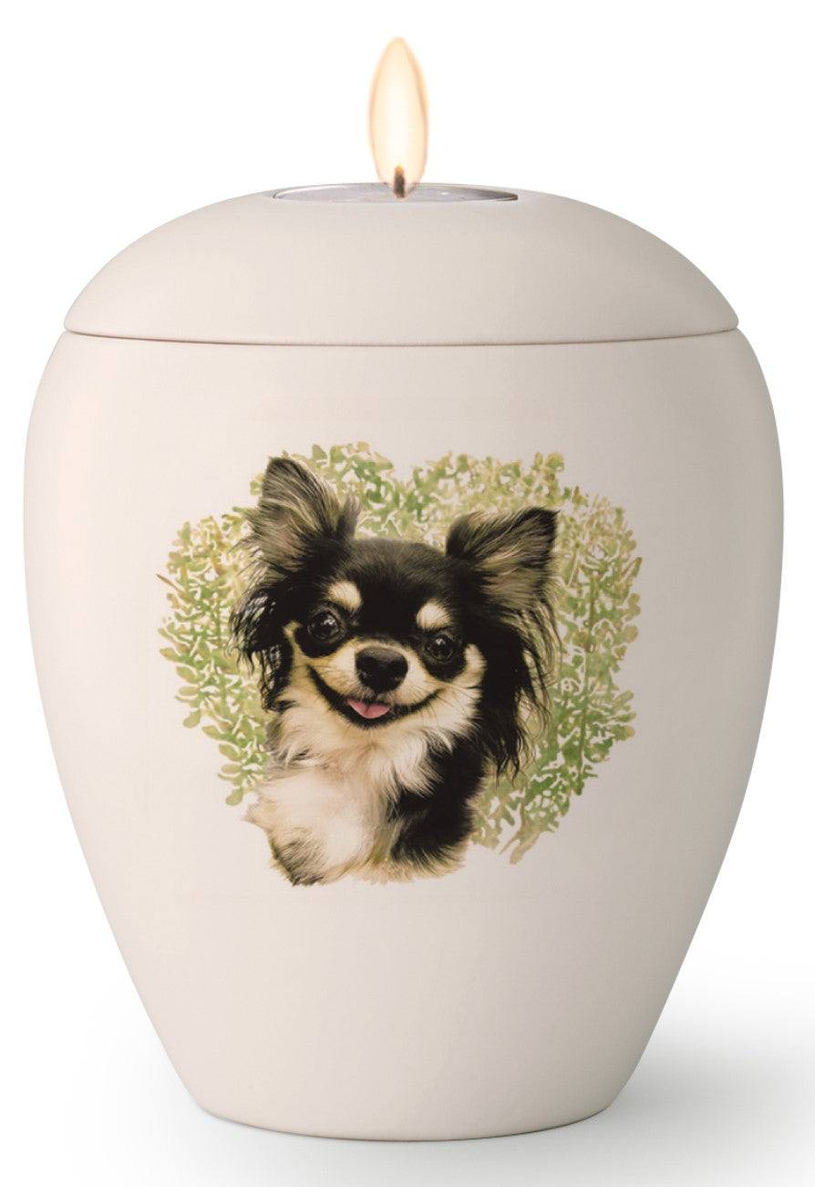 Tierurne mit Chihuahua mit Gedenklicht