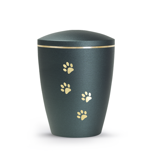 Tierurne Patas de oro mit goldenen Pfötchen in Petrol