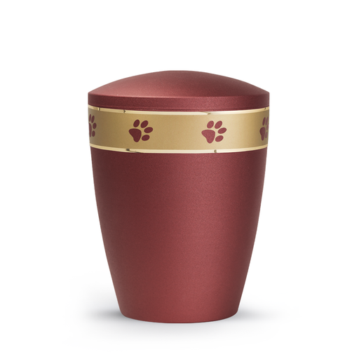 Tierurne Patas de oro mattgoldenes Dekorband Rubin