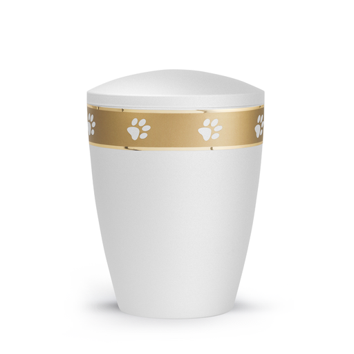 Tierurne Patas de oro mattgoldenes Dekorband Weiß
