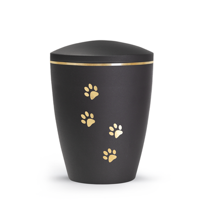 Tierurne Patas de oro mit goldenen Pfötchen in Schwarz