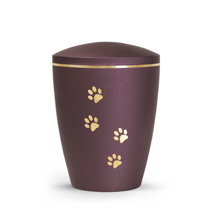Tierurne Patas de oro mit goldenen Pfötchen in Berry
