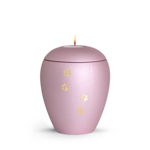 Tierurne Verona mit Pfötchen und Gedenklicht in Rose
