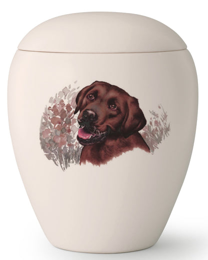Tierurne mit Chocolate Labrador
