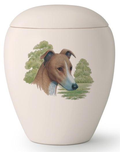Tierurne mit Greyhound