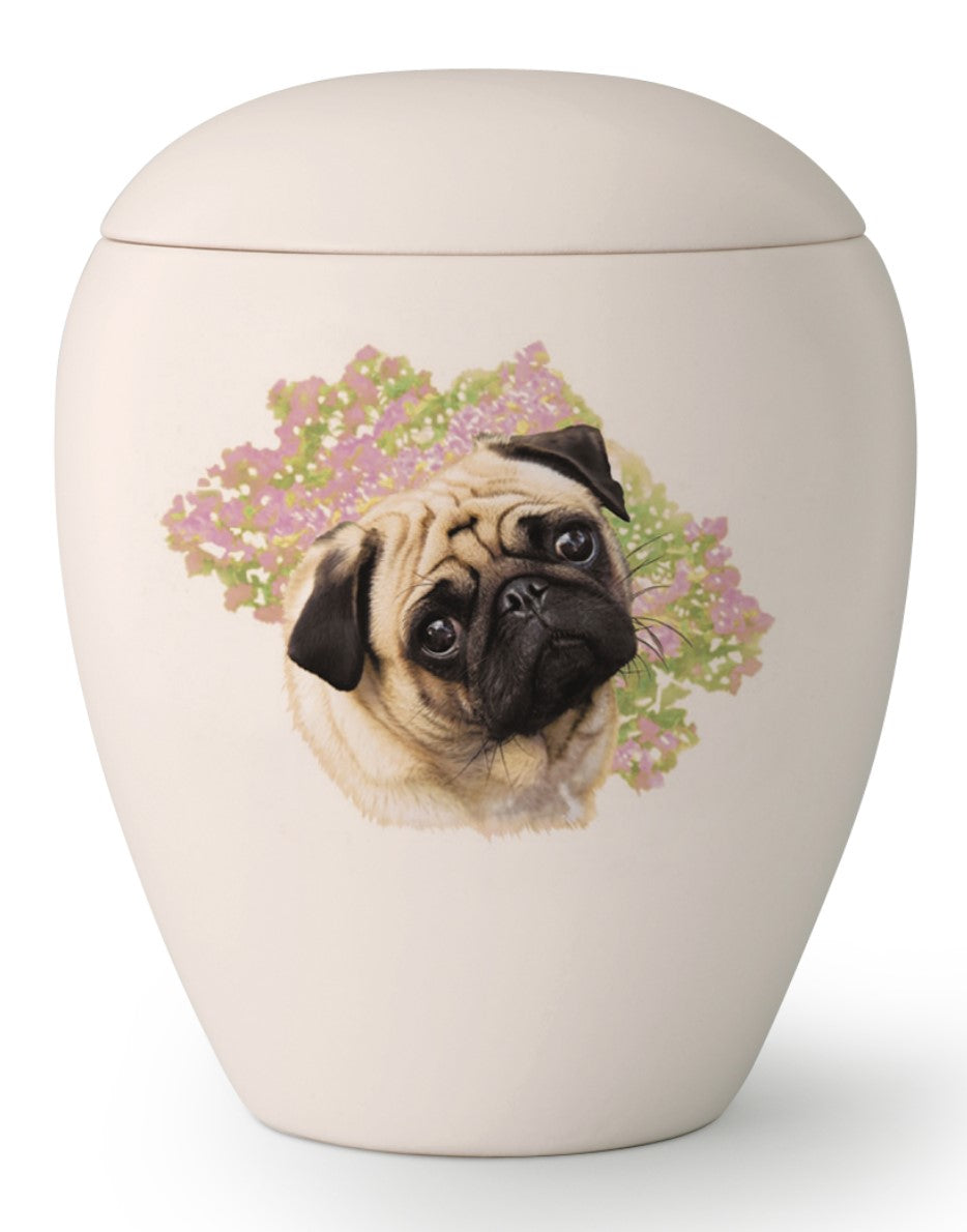 Tierurne mit Mops