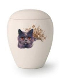 Tierurne Katzenurne Motiv 6