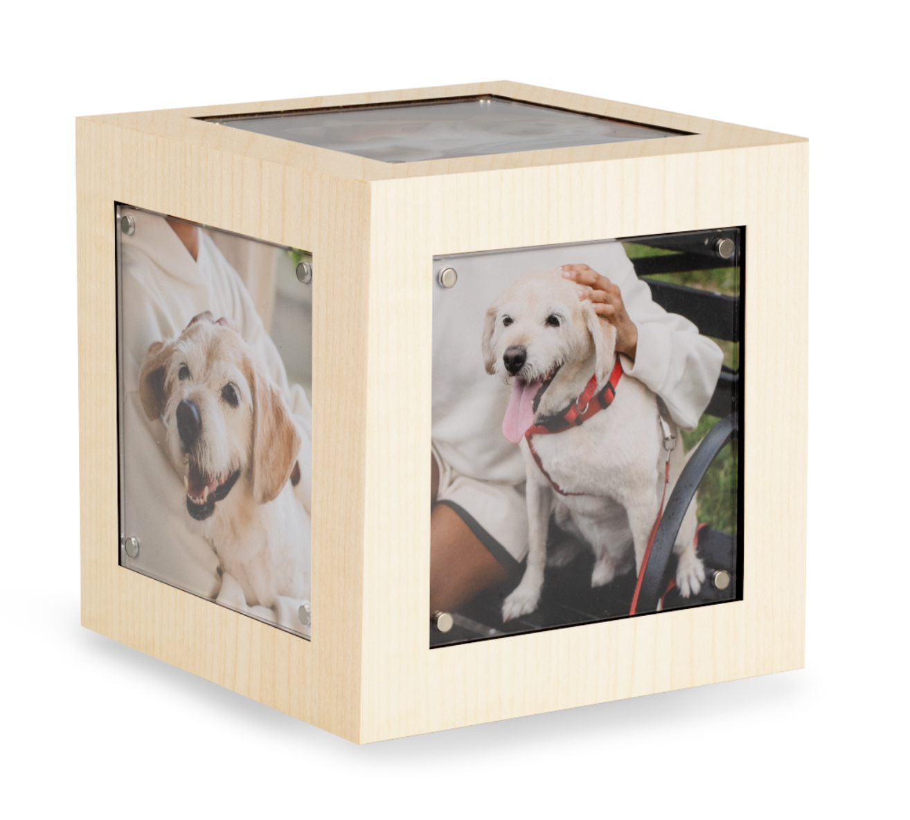 Tierurne Memori Cube Kanadischer Ahorn