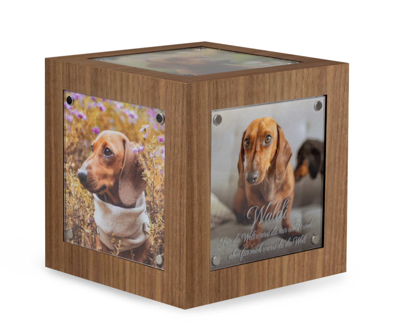 Tierurne Memori Cube Nussbaum