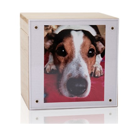 Tierurne Branka Erinnerungs-Box