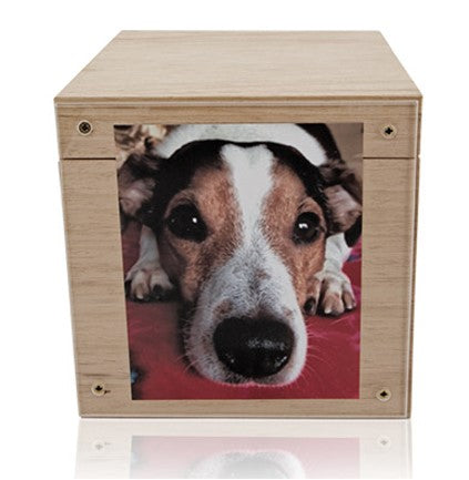 Tierurne Branka Erinnerungs-Box mit Plexiglas-Scheibe in 3 versch. Größen