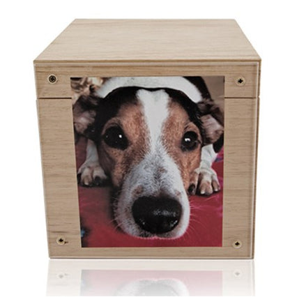 Tierurne Branka Erinnerungs-Box mit Plexiglas-Scheibe in 3 versch. Größen