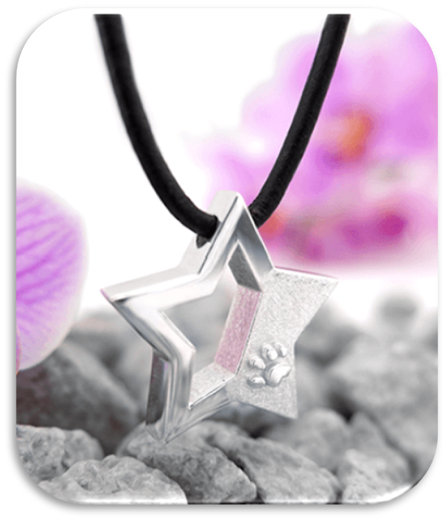 Ascheschmuck Kette Mira