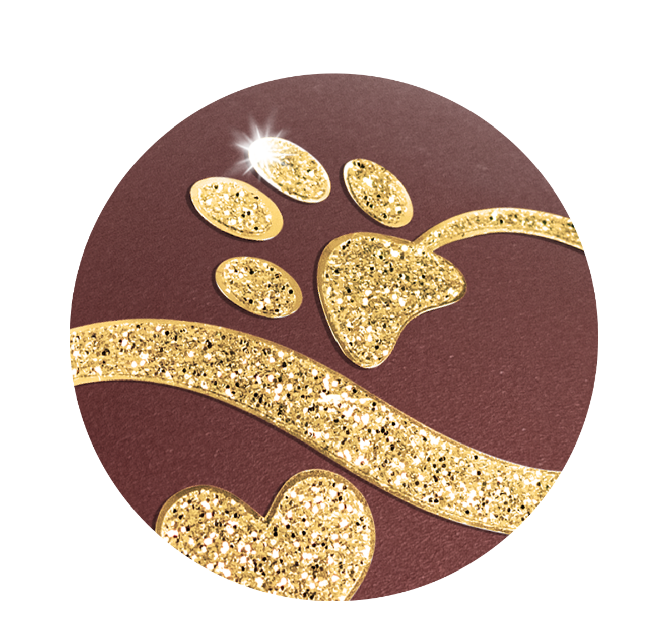 Tierurne Herz mit Motiv Infinity HerzPfote