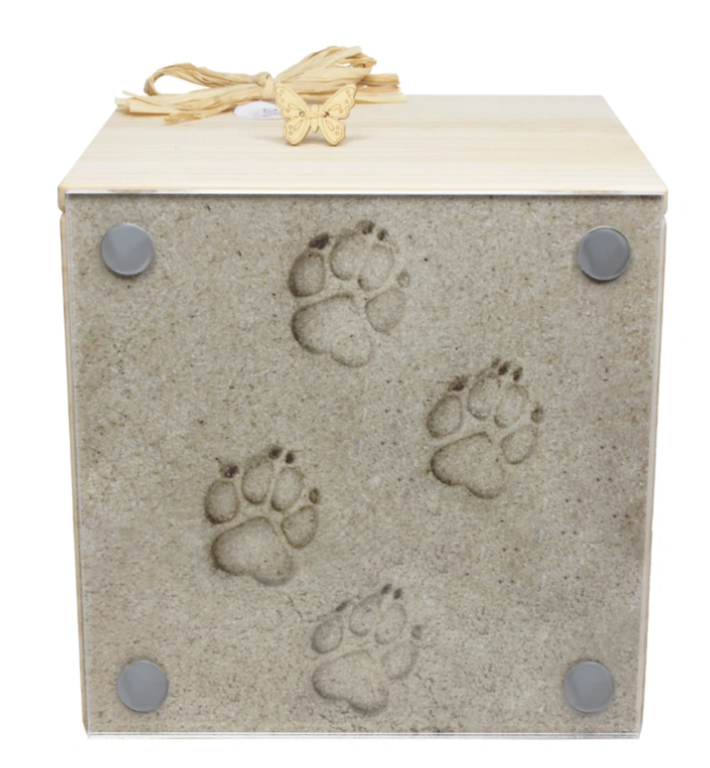 Tierurne Branka Erinnerungs-Box mit Plexiglas-Scheibe in 3 versch. Größen