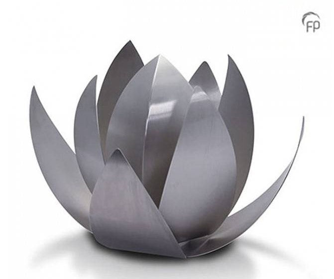 Tierurne Lotus