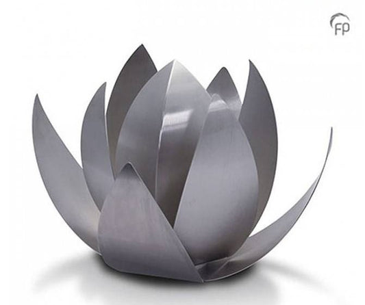 Tierurne Lotus