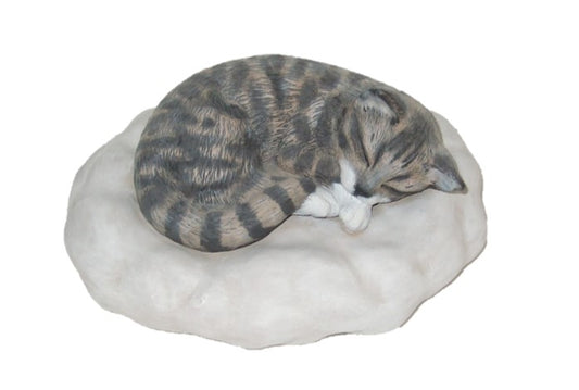 Tierurne Katze auf Wolke nach Fotovorlage