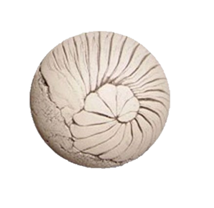 Tierurne Lebensspirale