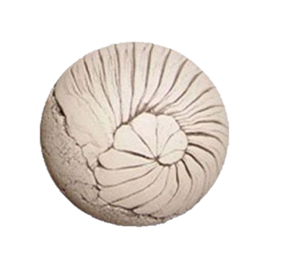 Tierurne Lebensspirale