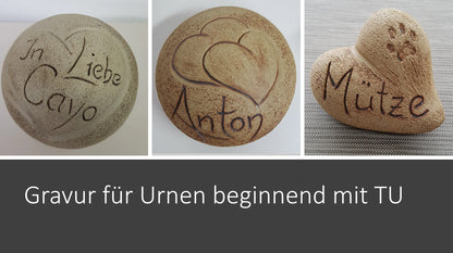 Tierurne Diskus Ginkgo in 4 versch. Farben und versch. Größen